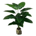 jpg_1500x1500_67499522