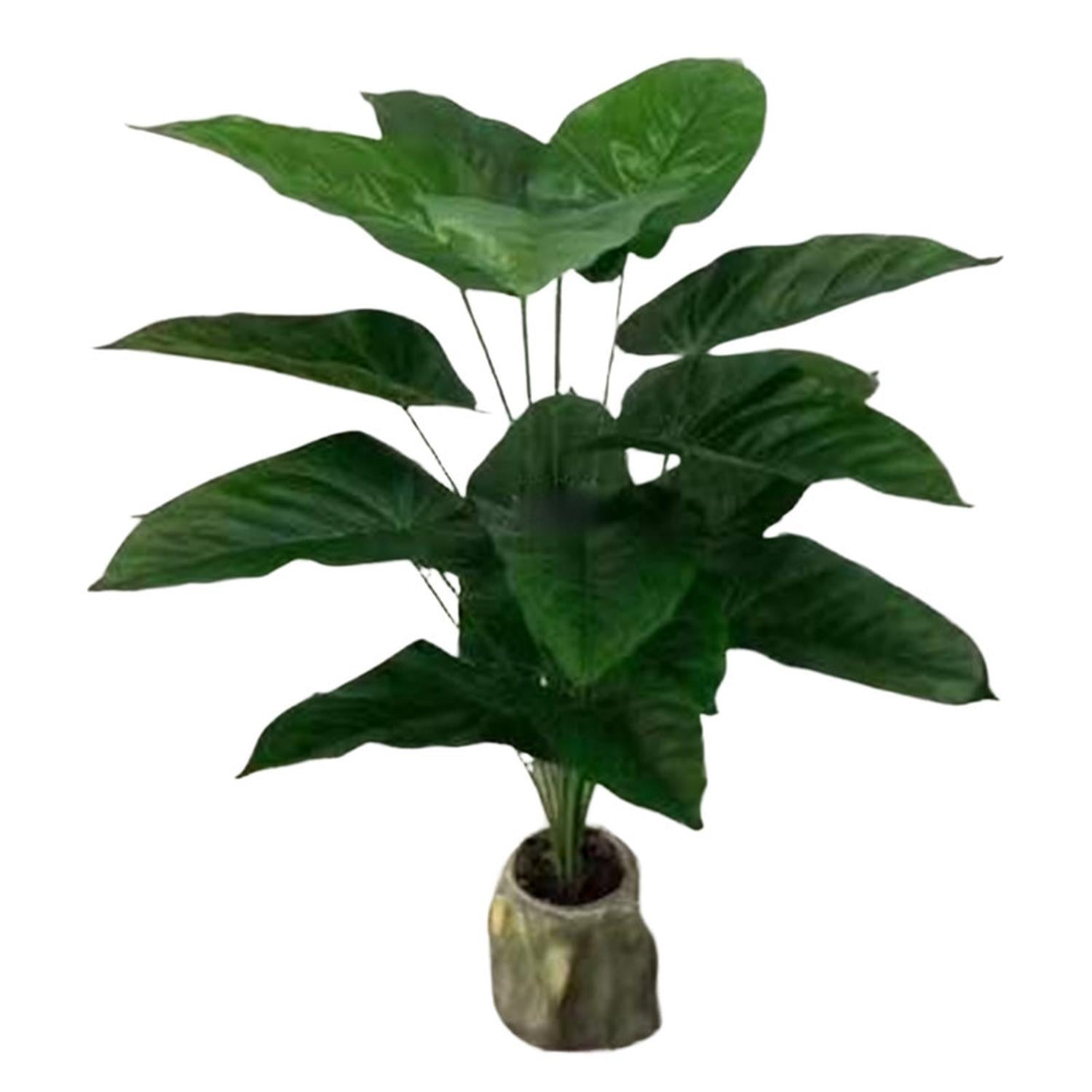 jpg_1500x1500_67499522