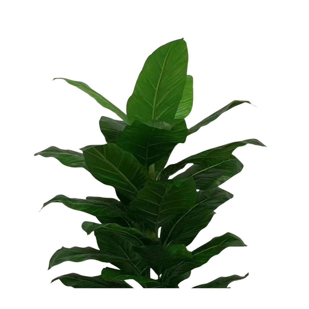 jpg_1500x1500_67499595