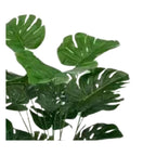 jpg_1500x1500_67499670