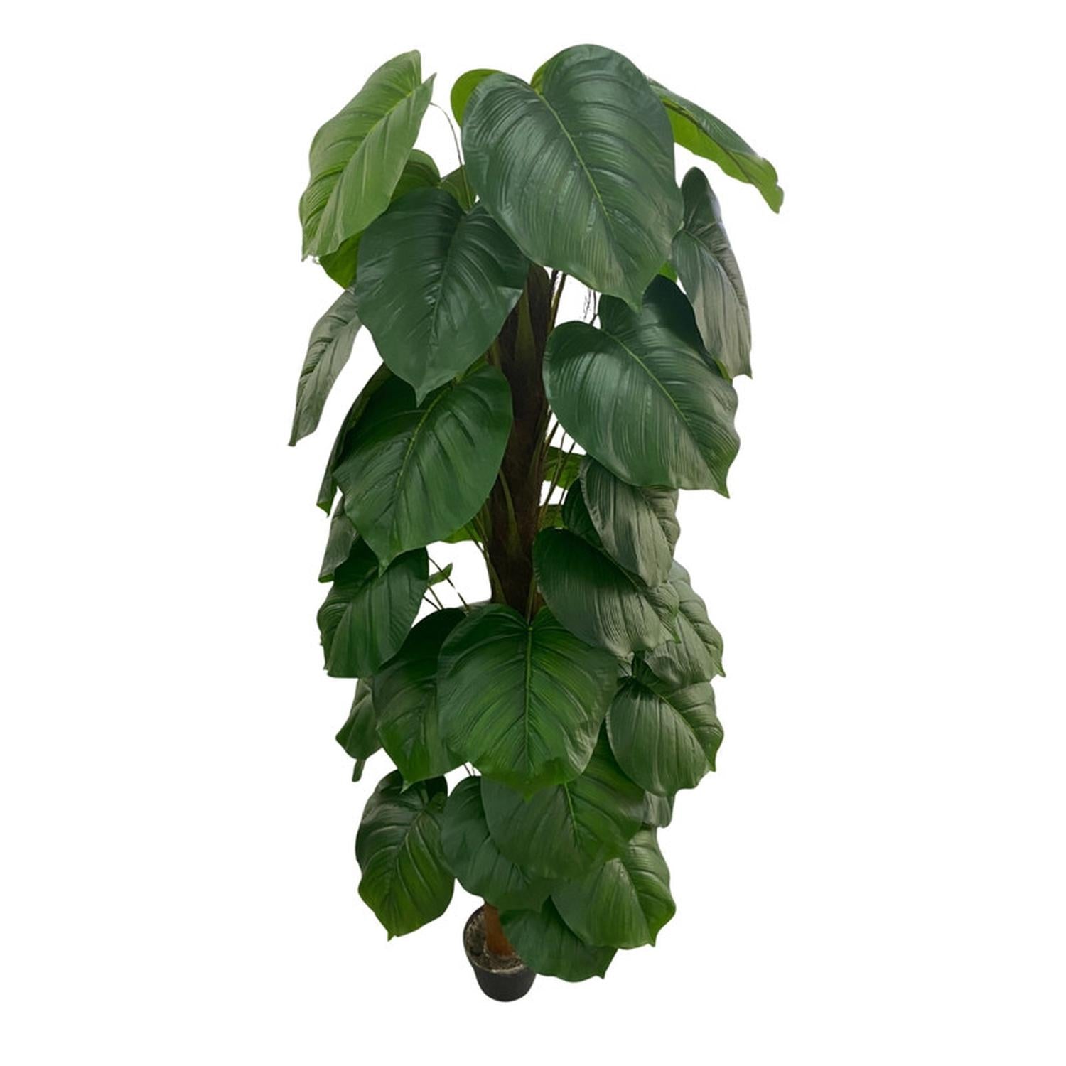 jpg_1500x1500_67499546