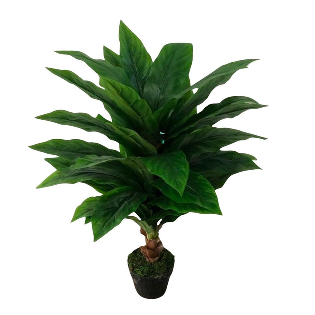 jpg_1500x1500_67499612