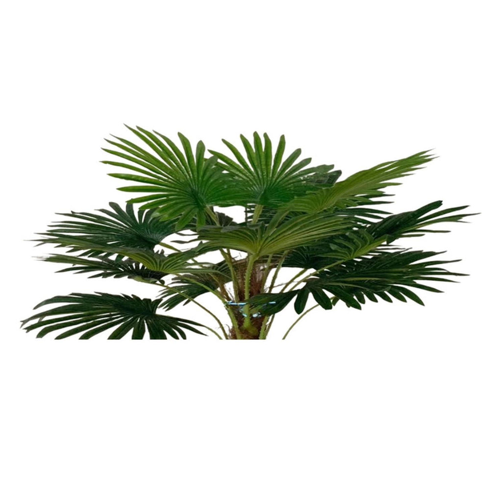 jpg_1500x1500_67499648