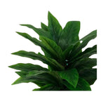 jpg_1500x1500_67499613