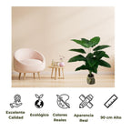 jpg_1500x1500_67499524