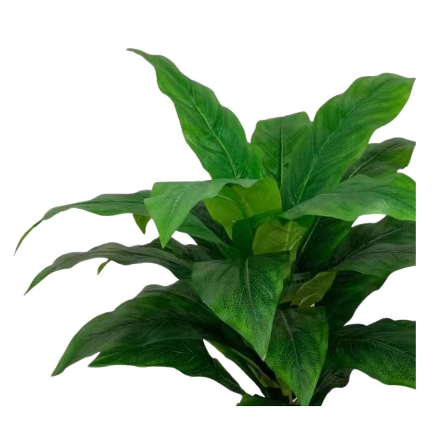 jpg_1500x1500_67499572