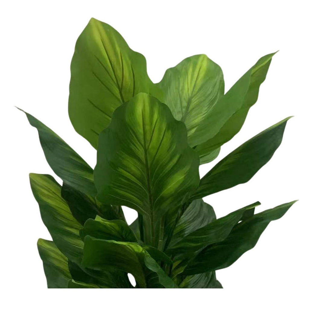 jpg_1500x1500_67499551