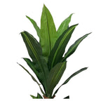 jpg_1500x1500_67499541