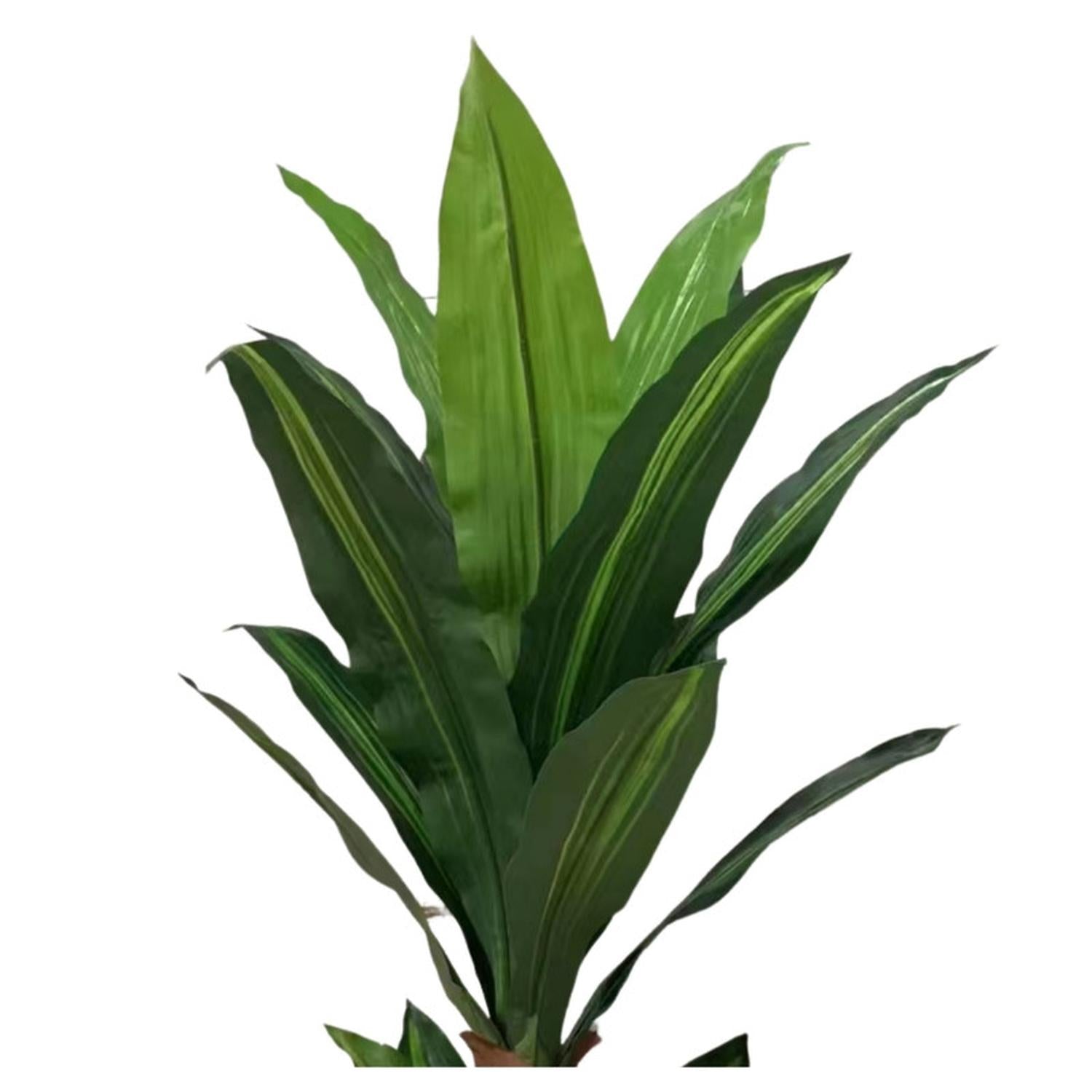 jpg_1500x1500_67499541