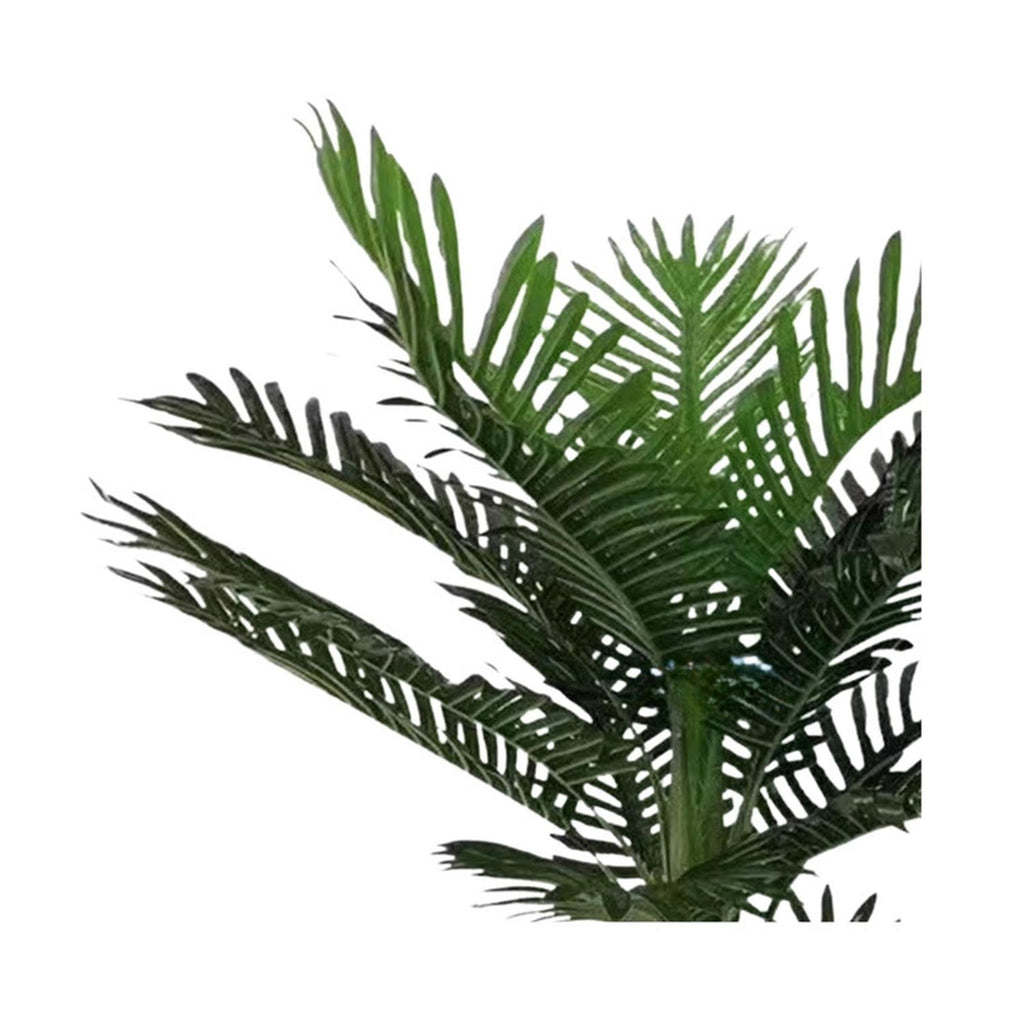 jpg_1500x1500_67499599