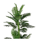 jpg_1500x1500_67499626